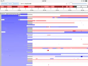 Integrative Genomics Viewer (IGV) for iPad screenshot #2 for iPad