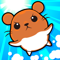 Lets Answer Hamster Race