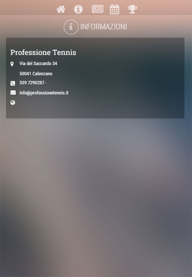Professione Tennis screenshot 3