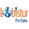 Bobistur Turismos