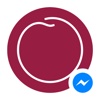 Plum for Messenger