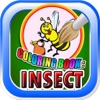 Coloring Book Insect