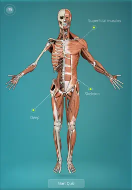 Game screenshot Anatomy Quiz - muscles and bones mod apk