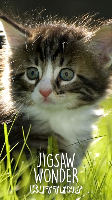 Screenshot #1 pour Kittens Jigsaw Wonder puzzles pour enfants