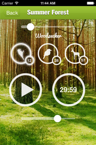 Forest Sound for Sleep and Meditation screenshot 4