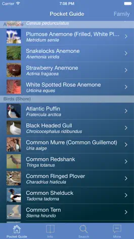 Game screenshot Pocket Guide UK Seashore mod apk