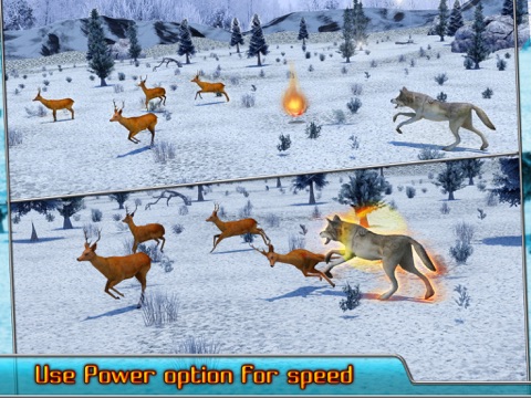 Angry Wolf Simulator 3Dのおすすめ画像2