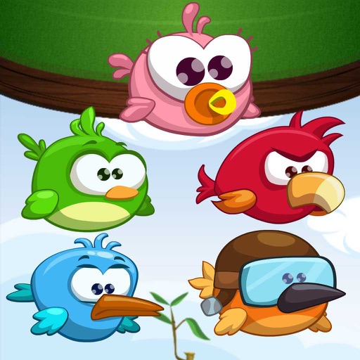 Birds Saga iOS App