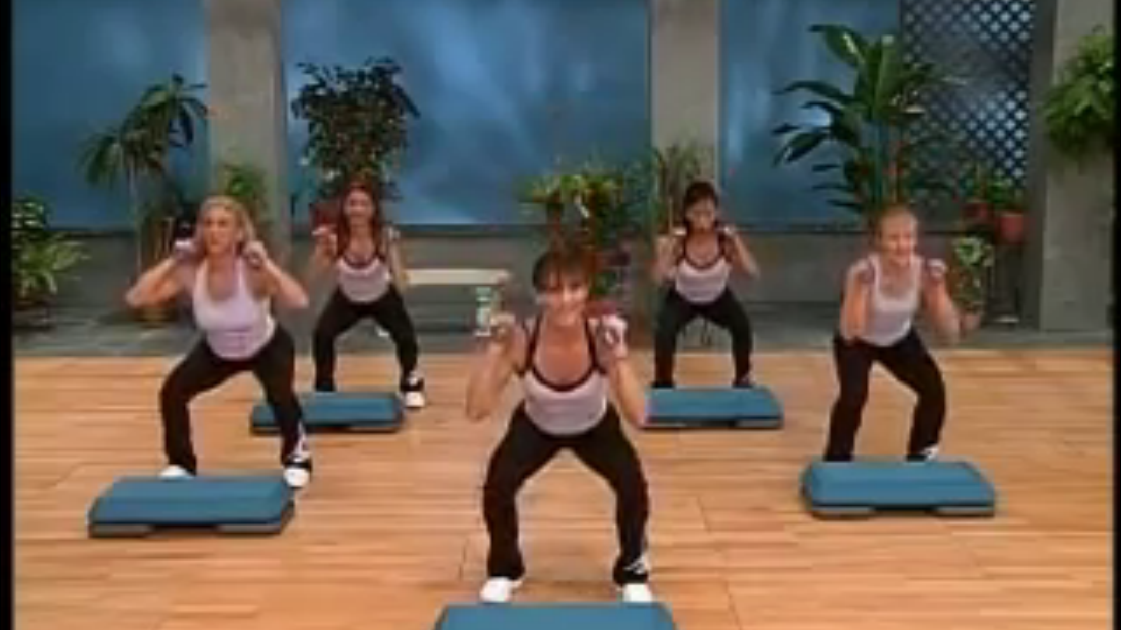 Step Aerobics Fitness