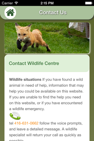 Wildlife Help - Toronto Wildlife Centre Rescue Injured, Sick & Orphaned Wild Animals screenshot 4