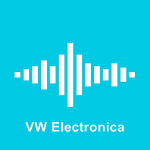VW Electronica