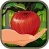 Don't Tap the Bad Apples - Fruit Dash- Free