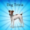 Dog Trivia and Quiz