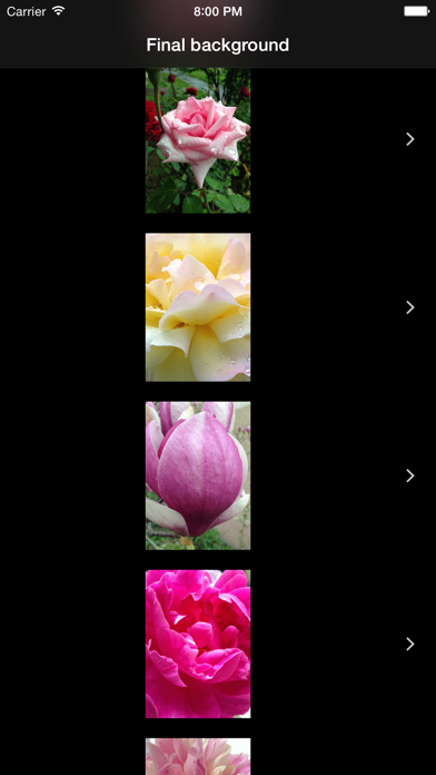 Final background Lite screenshot
