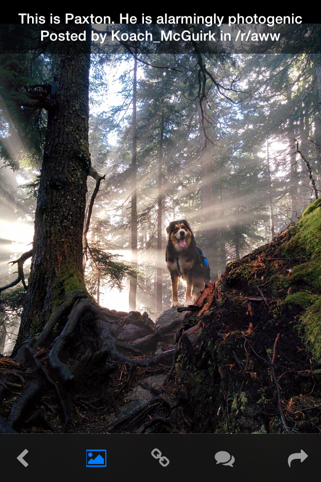 R2 — Reddit Browser