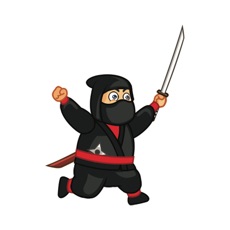 Activities of Ninja Runner 2D