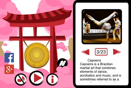 Las mejores artes marciales