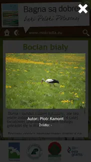 ptaki i przyroda mokradeł iphone screenshot 3
