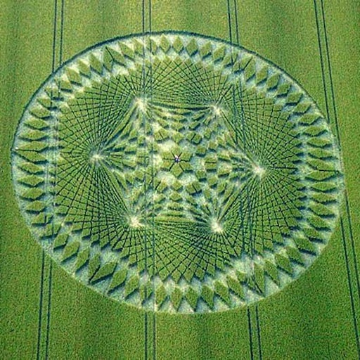 UFO Crop Circles