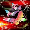 Butterfly HD Wallpaper for iPhone