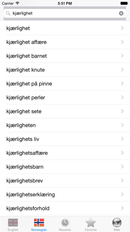 Norwegian English best dictionary screenshot-4