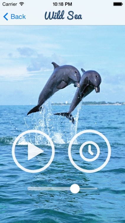 Ocean Sound for Sleep and Meditation