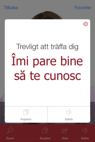 Romanian Pretati - Translate, Learn and Speak Romanian with Video Phrasebook screenshot 2