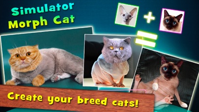 Screenshot #1 pour Simulator Morph Cat