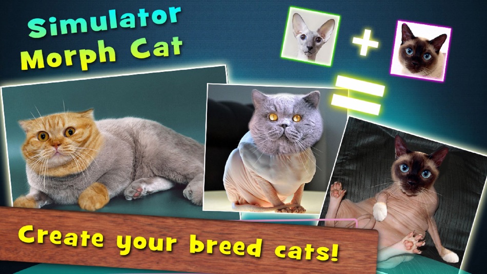 #1. Simulator Morph Cat (iOS) By: Mariya Ivanova