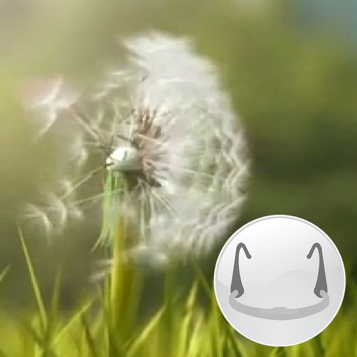 Dandelion (Breathing Games) Icon