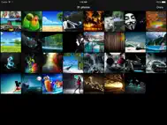 Awesome Web Image Collector Lite ipad bilder 2