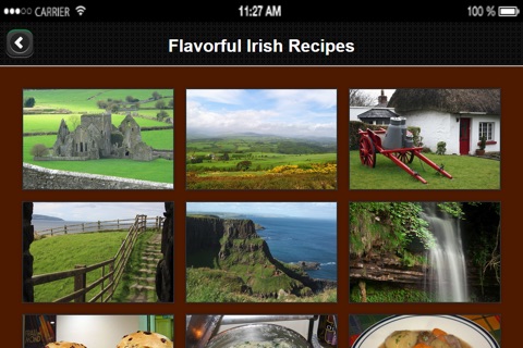 Irish Recipes from Flavorful Apps® screenshot 4