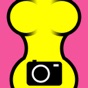 Bon-Q-Bon Camera app download