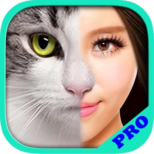 Blend Face Effect For Instagram - Morph With Wild Animal icon