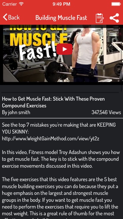 How To Build Muscle - Muscle Building Guide