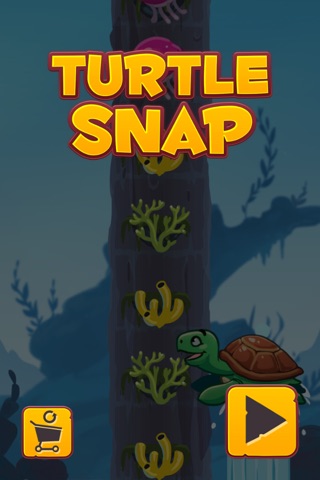 Turtle Snap screenshot 2