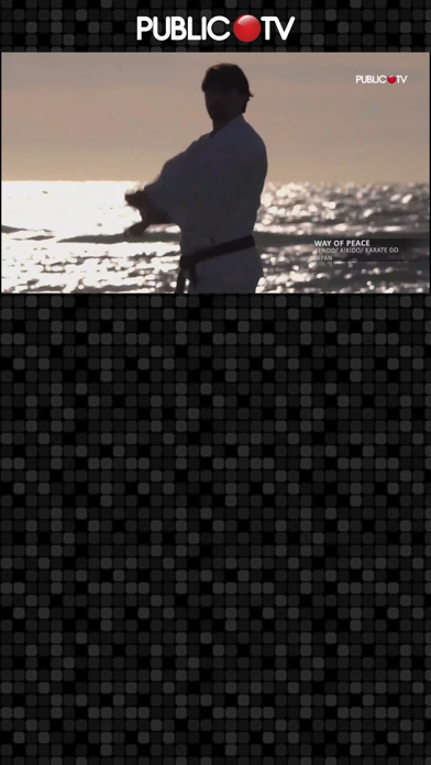 Screenshot #1 pour PublicTV