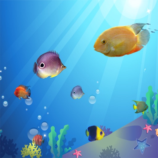 The Big Fish Eat Small Fish : Free Play Easy Fun For Kids Games Icon