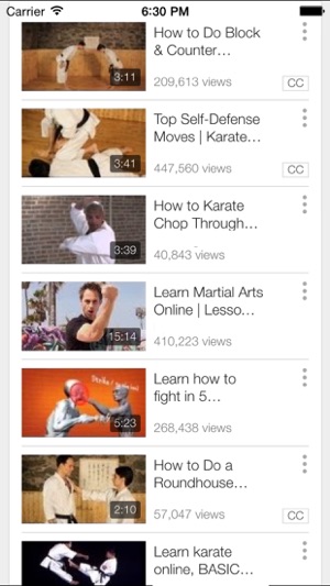 Karate Lessons - Learn How To Improve Your Karate Technique(圖3)-速報App
