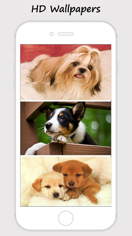 Cute Dogs and Puppy Wallpapers