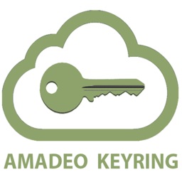 Amadeo Keyring