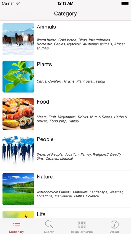English Picture Dictionary