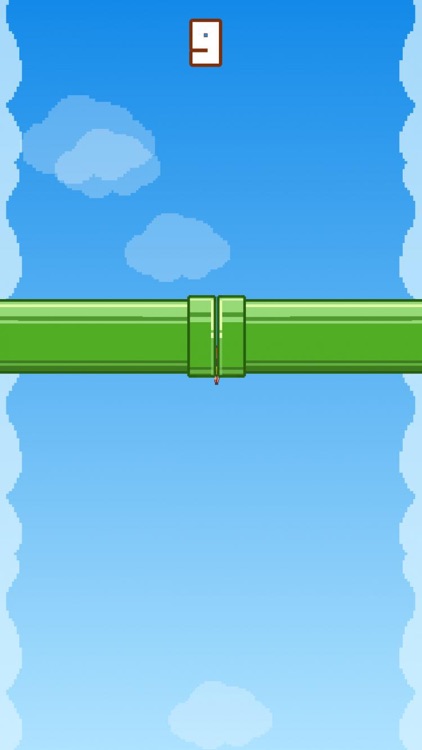 Chick Can Fly