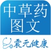 中草药大全(图文)