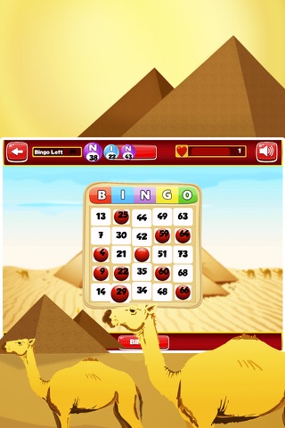 Bingo Big Win screenshot 4