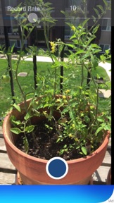 Time-Lapse screenshot 1