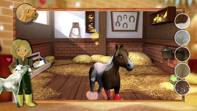 Little Baby Horse