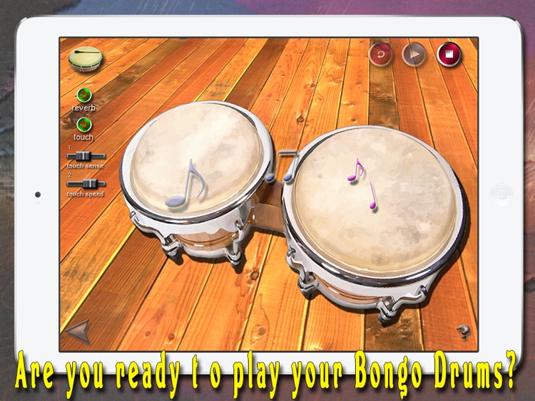 i Play My Cuban Bongo Drums
