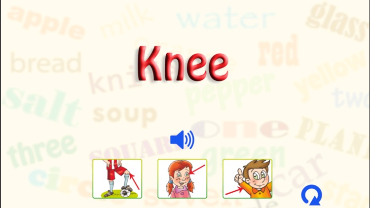 English Basic Concepts 3- Quiz for kids screenshot-3