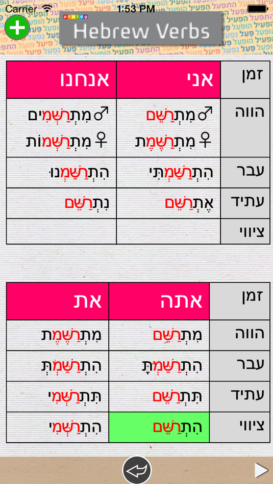 #4. Hebrew Verbs & Conjugations | PROLOG (iOS) 게시자: Prolog LTD